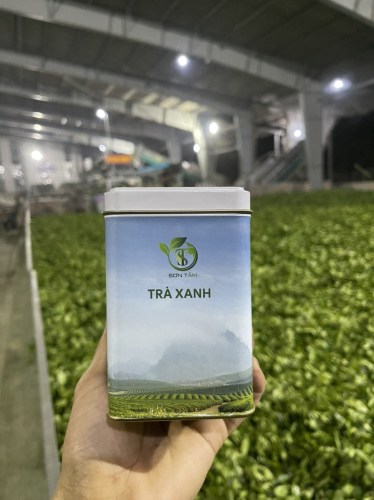 Green tea of all kinds